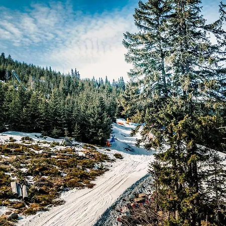 Διαμέρισμα 19 *