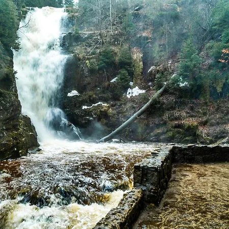 19 アパート シクラルスカ・ポレンバ